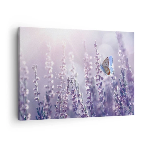 Lærredstryk - Billede på lærred - En sommerfugl på blomstrende lavendel i morgenlyset - 70x50cm - Sommerfuglekys - Moderne vægdekoration til stue og soveværelse ARTTOR