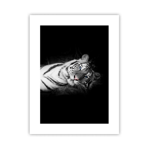 Plakat - Vildskab og fred - 30x40 cm