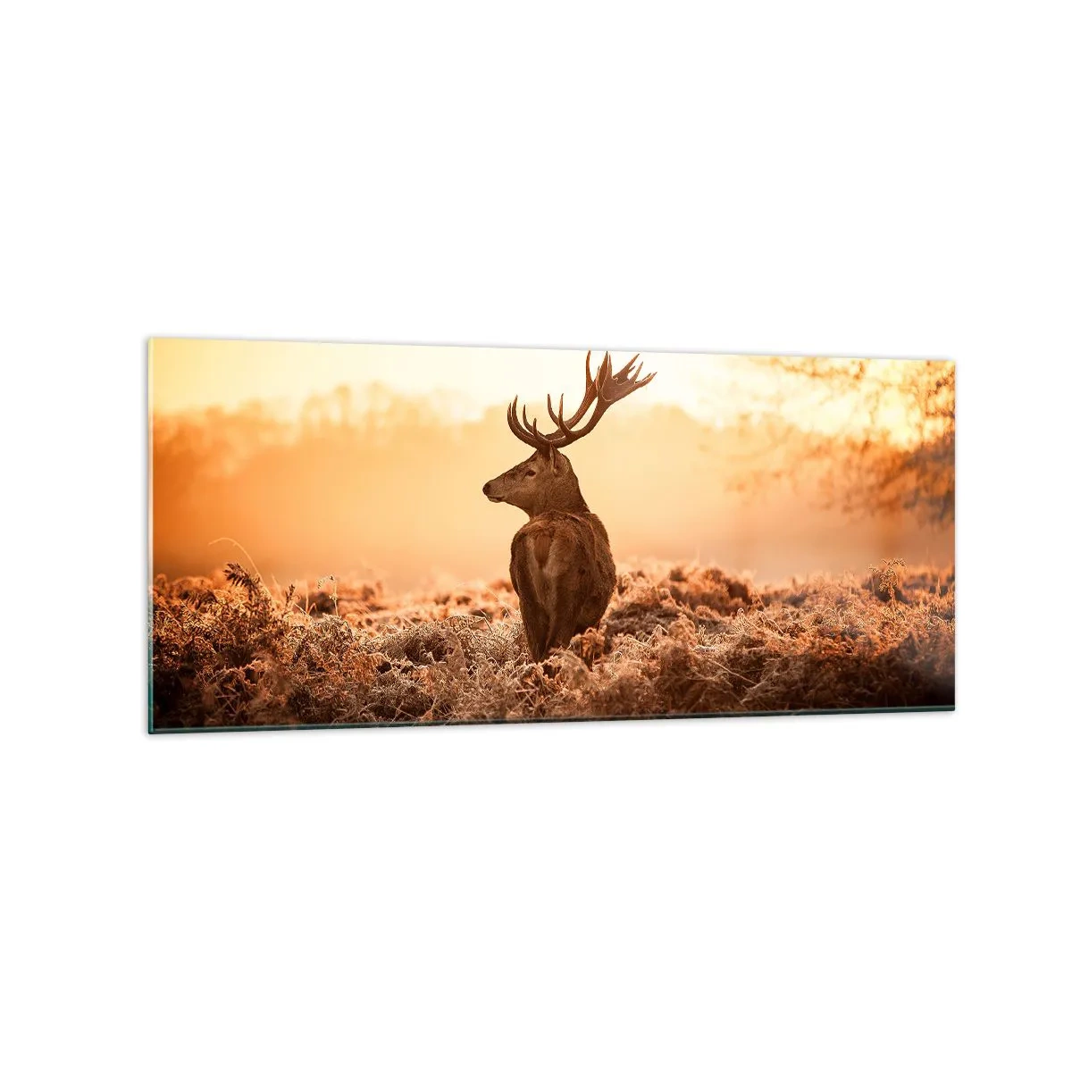 Billede på glas - Herre på godset - 120x50 cm