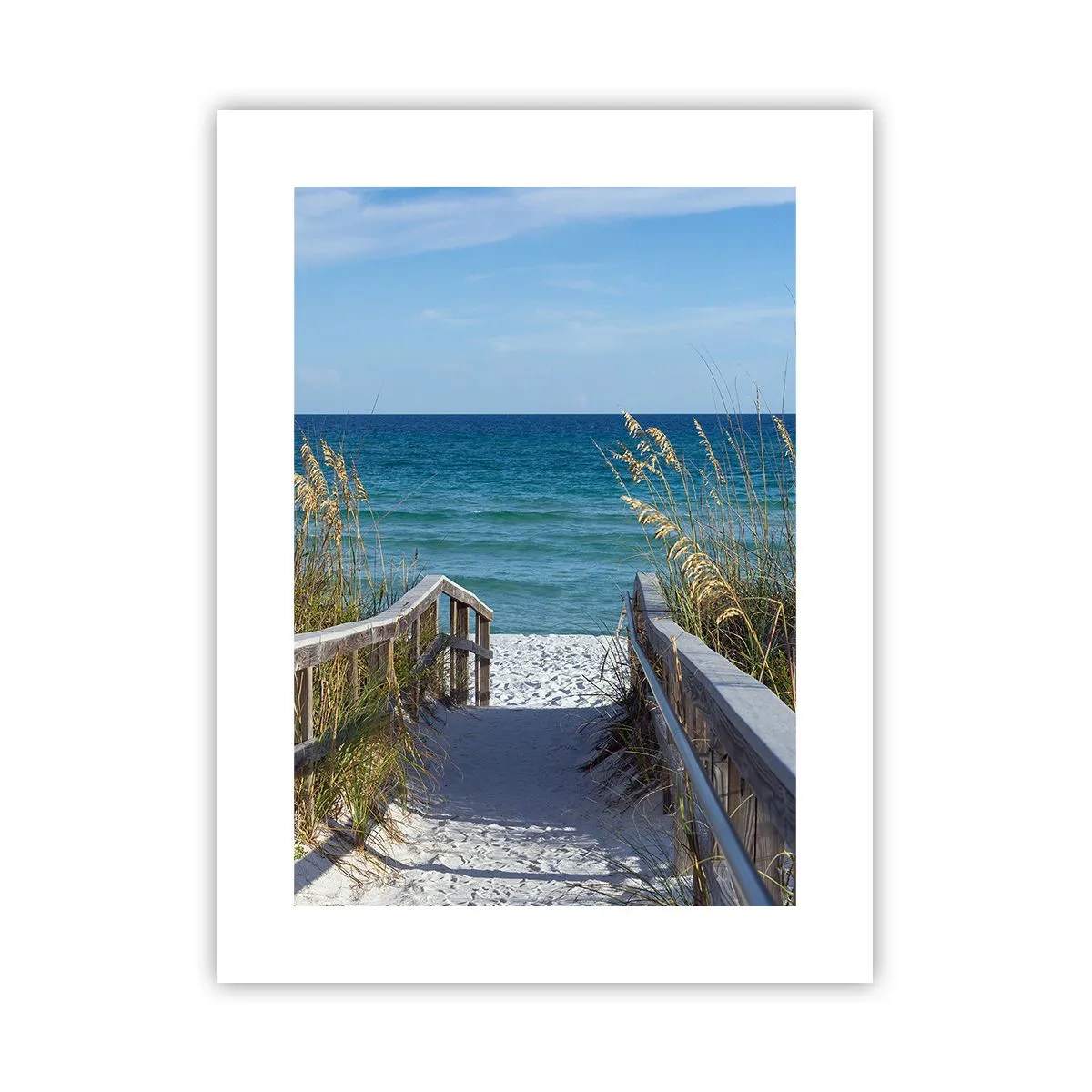 Plakat - I solen, i vinden - 30x40 cm