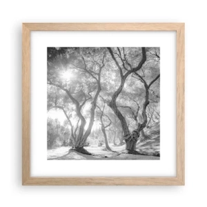 Plakat i ramme af lyst egetræ - I en olivenlund - 30x30 cm
