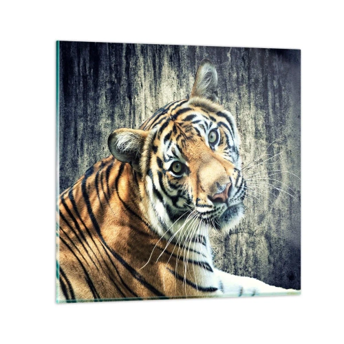 Billede på glas - Portræt i lysstrømme - 40x40 cm