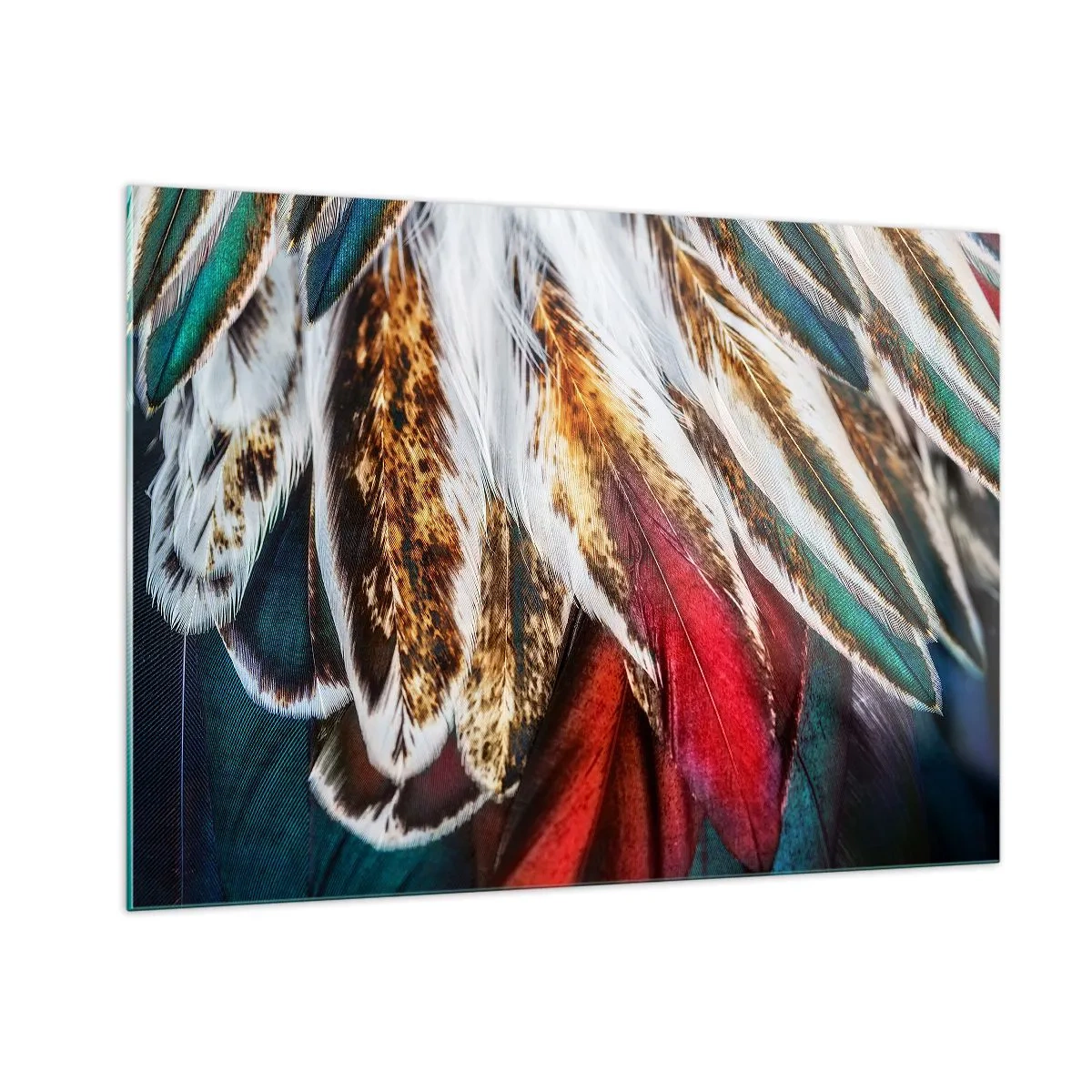 Billede på glas - Flyvningens hemmeligheder - 100x70 cm