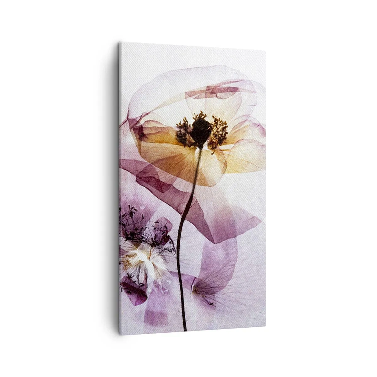 Lærredstryk - Billede på lærred - Blomsterlegeme dias - 45x80 cm
