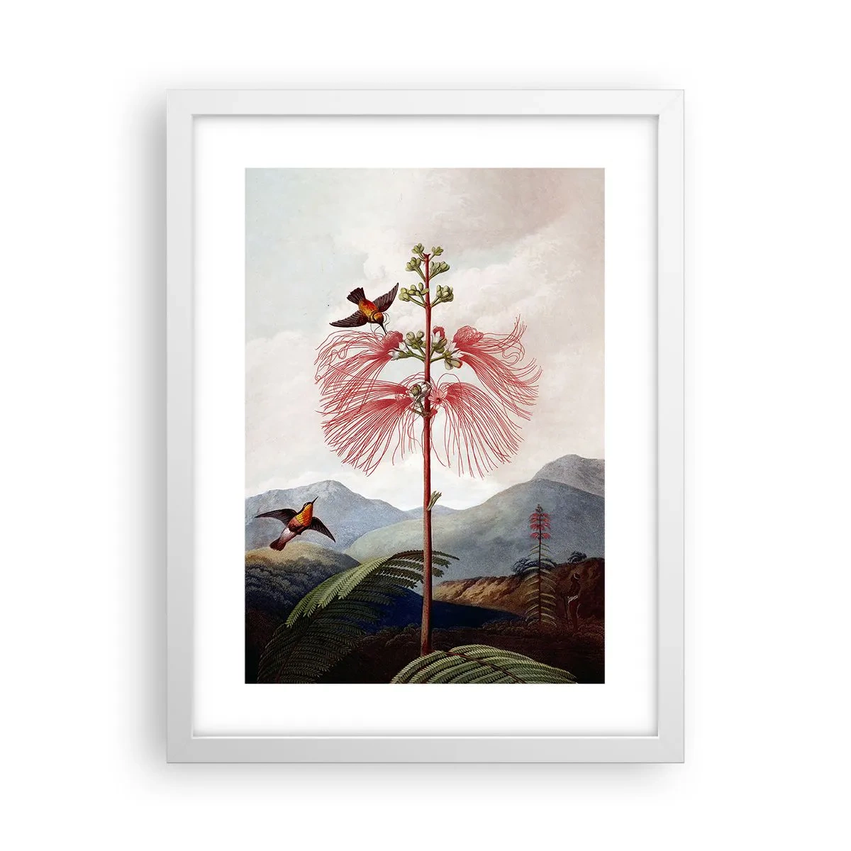 Plakat i hvid ramme - I et tropisk paradis - 30x40 cm