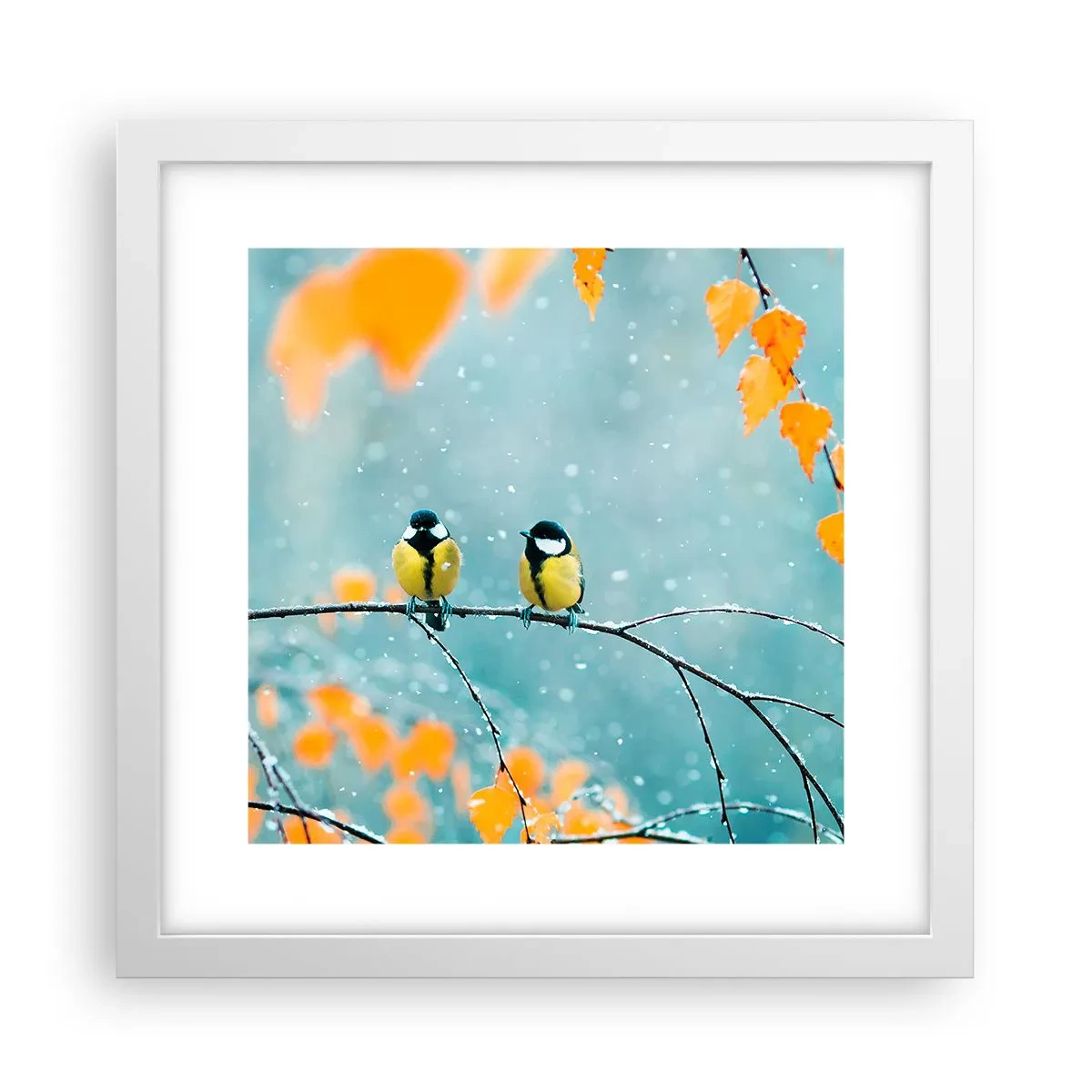 Plakat i hvid ramme - Sladder om fugle - 30x30 cm