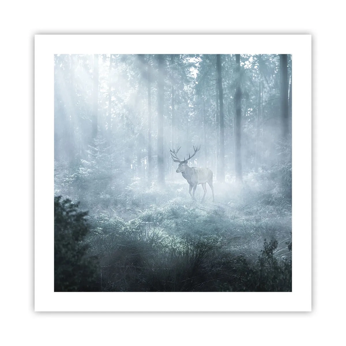 Plakat - Morgenvandring rundt på godset - 50x50 cm