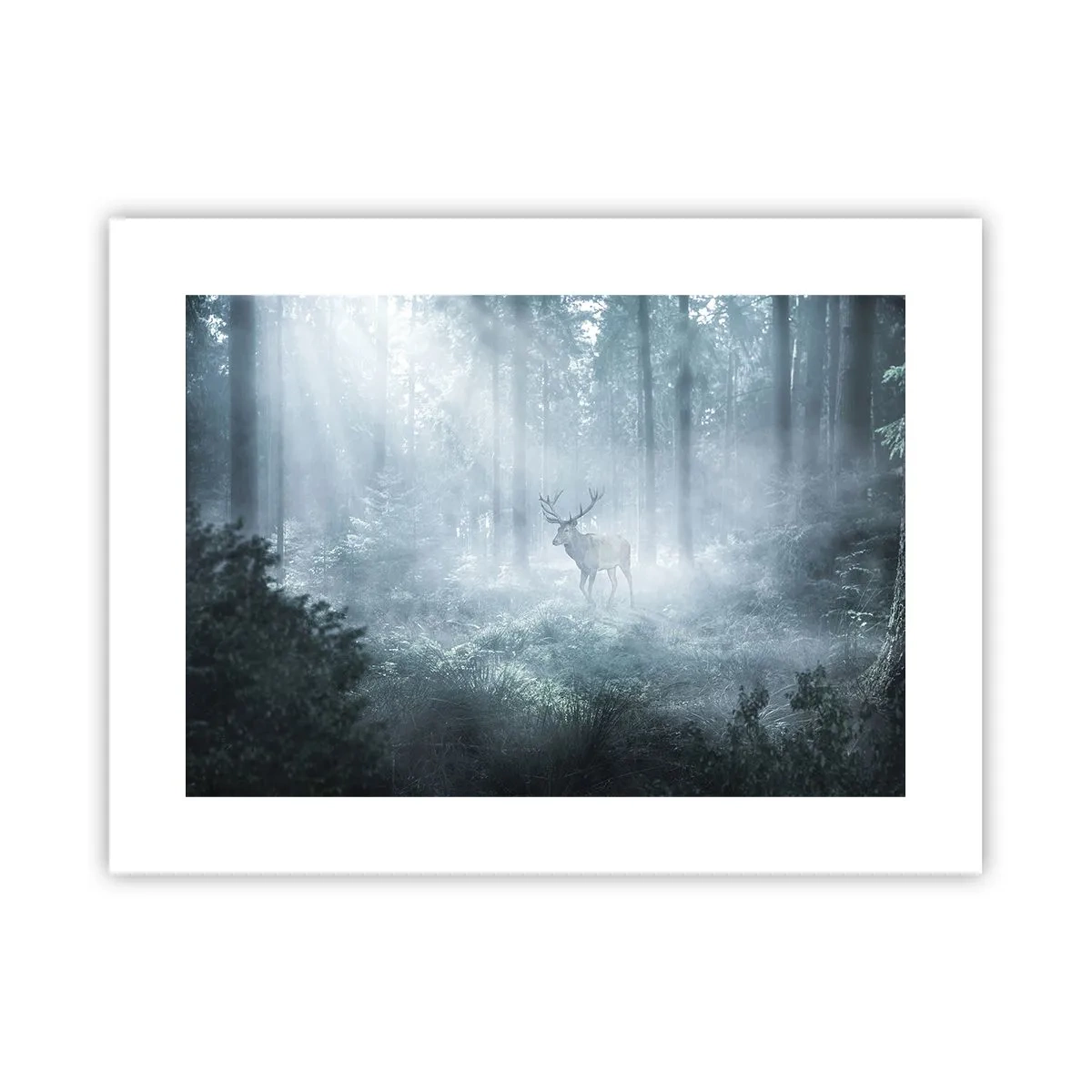 Plakat - Morgenvandring rundt på godset - 40x30 cm