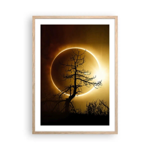Plakat i ramme af lyst egetræ - Total formørkelse - 50x70 cm
