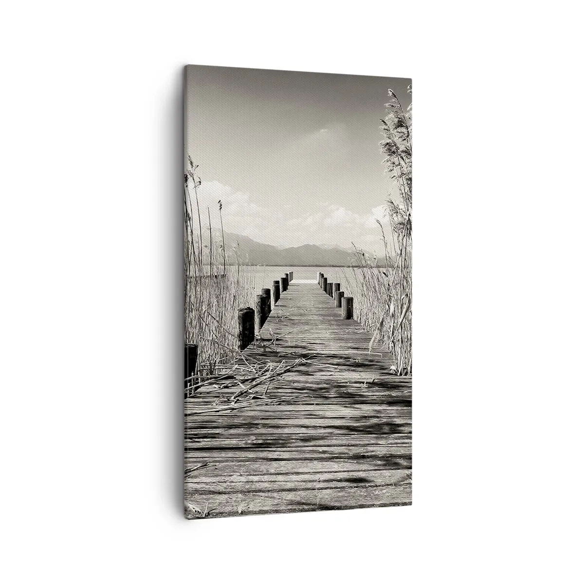 Lærredstryk - Billede på lærred - I græssernes fred - 45x80 cm