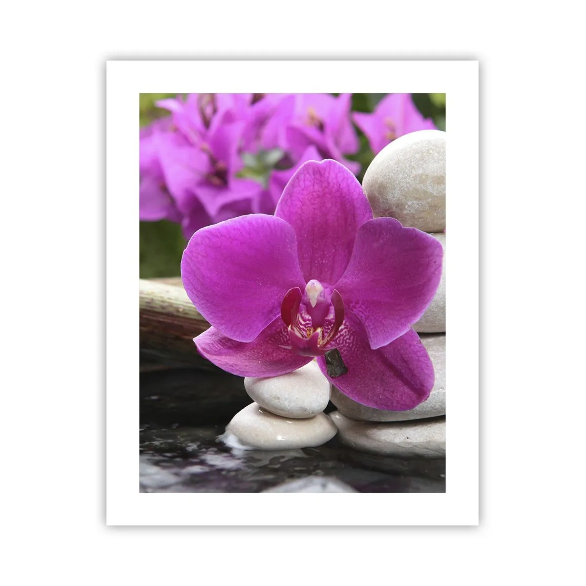 Plakat - Du hviler allerede - 40x50 cm