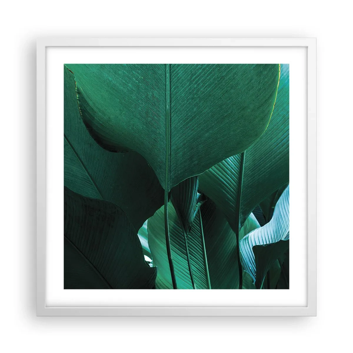 Plakat i hvid ramme - Mod lyset - 50x50 cm