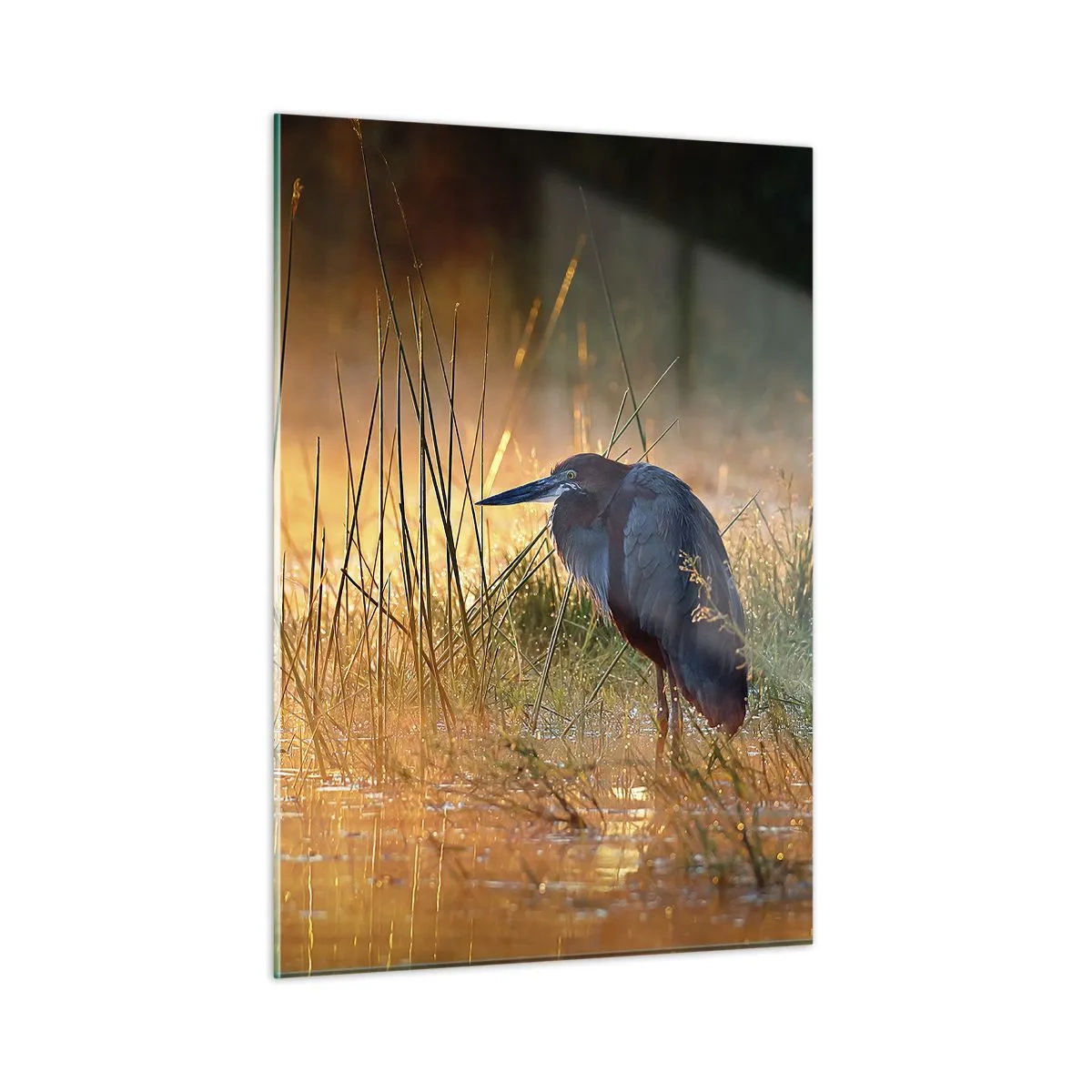 Billede på glas - Giv mig en chance med disse billeder - 50x70 cm