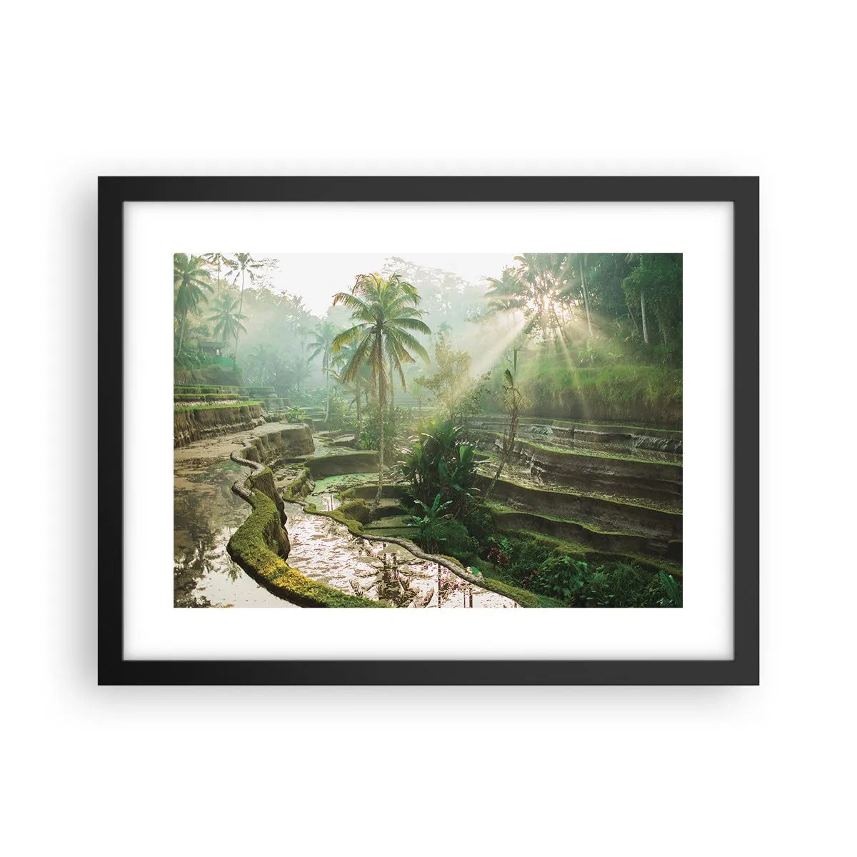 Plakat i sort ramme - Voksende op i solen - 40x30 cm
