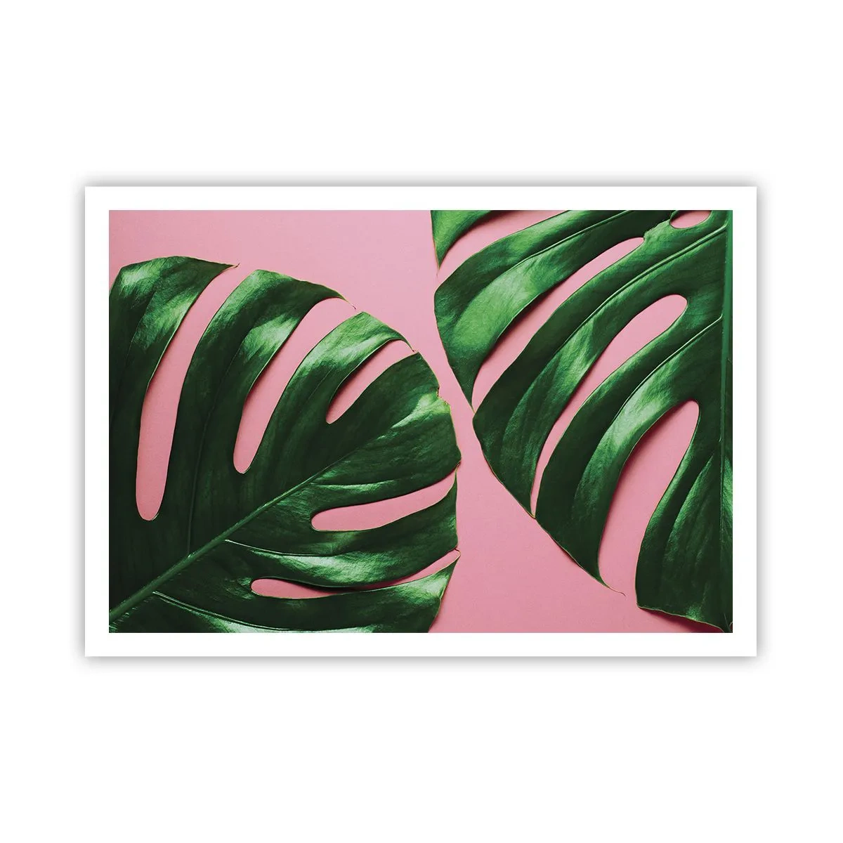 Plakat - Grønt rendez-vous - 100x70 cm