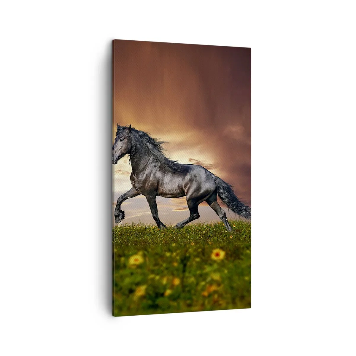 Lærredstryk - Billede på lærred - Sort prins - 45x80 cm