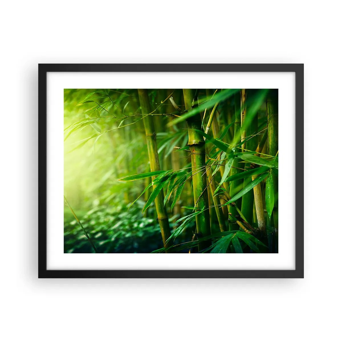 Plakat i sort ramme - Lær selve det grønne at kende - 50x40 cm