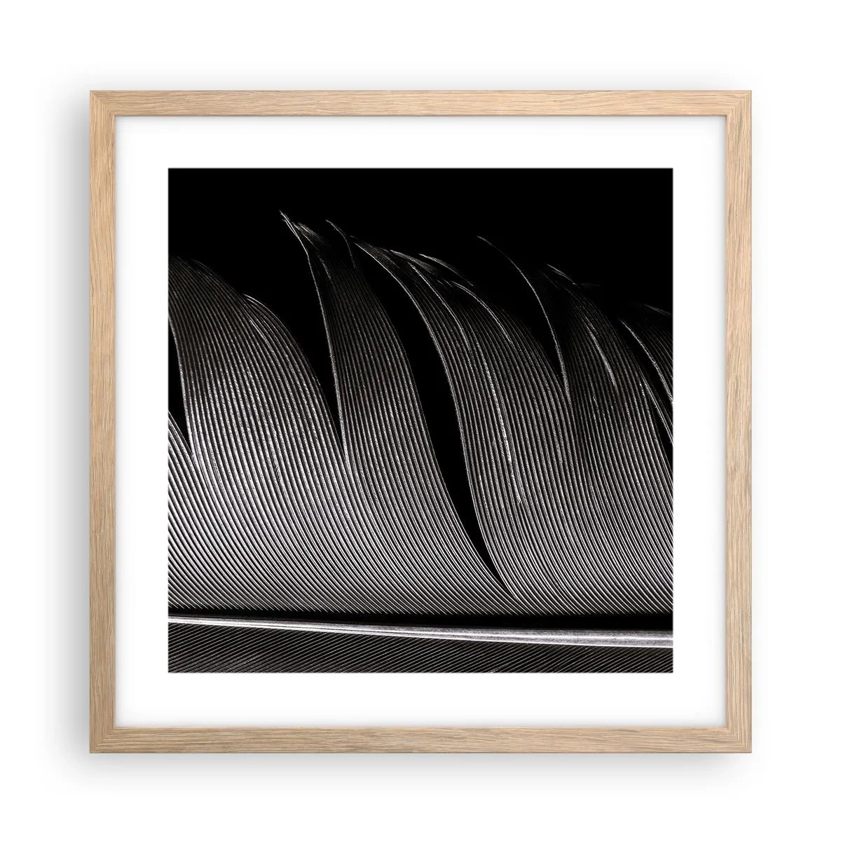 Plakat i ramme af lyst egetræ - Fjer - en vidunderlig konstruktion - 40x40 cm