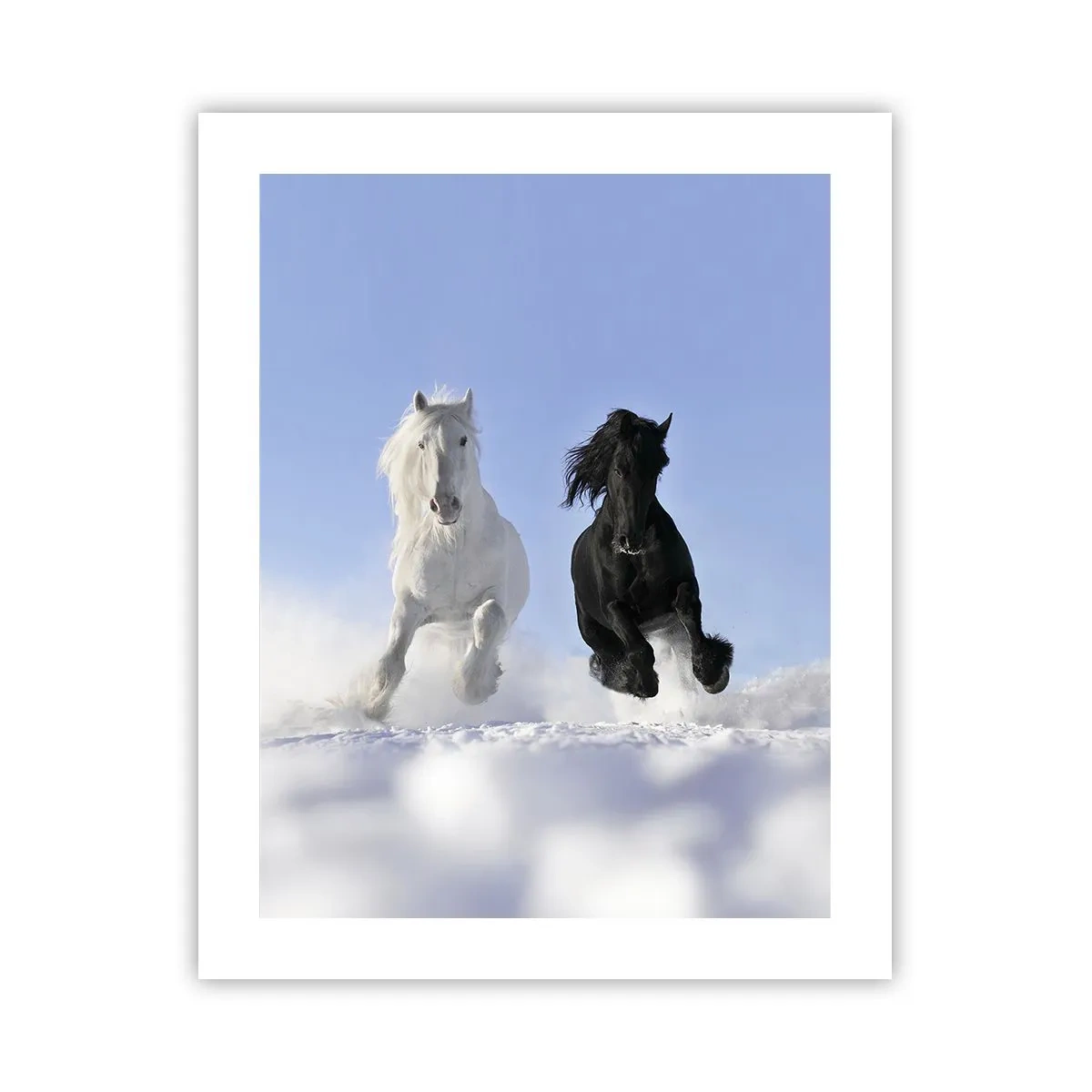 Plakat - Sort og hvid galop - 40x50 cm