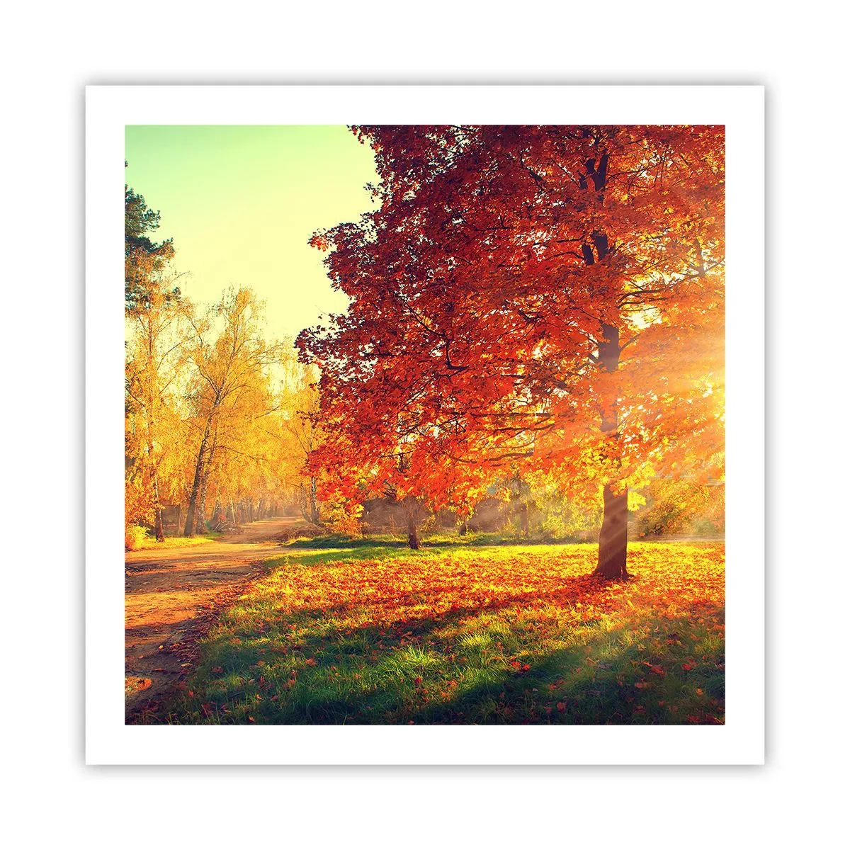Plakat - Rød er smuk - 60x60 cm