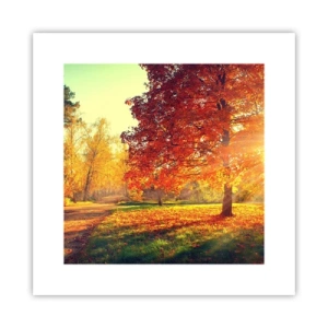 Plakat - Rød er smuk - 30x30 cm