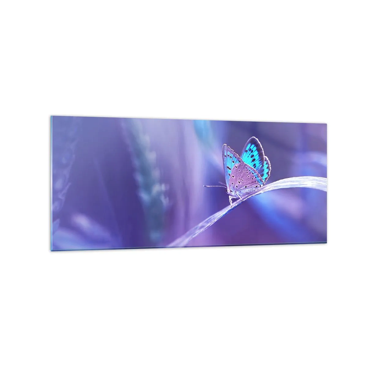 Billede på glas - Naturens juvel - 120x50 cm