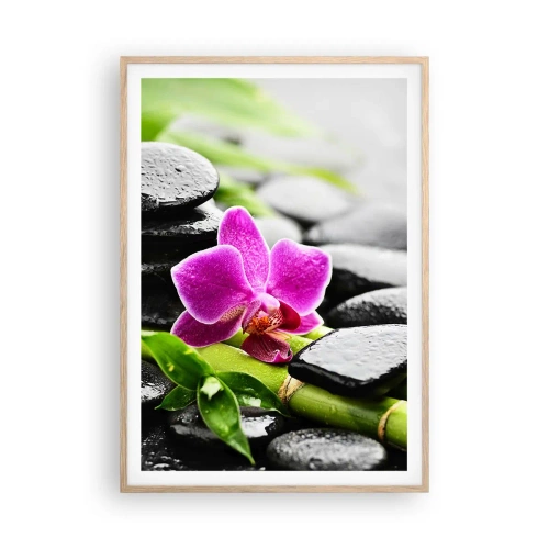 Plakat i ramme af lyst egetræ - I en fredelig balance - 70x100 cm