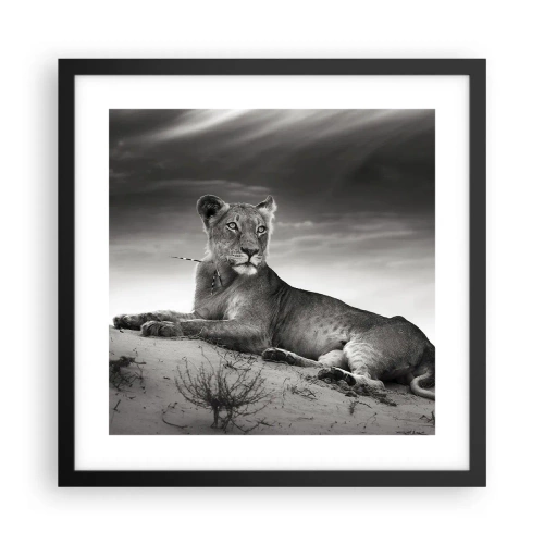 Plakat i sort ramme - Resten af ørkendronningen - 40x40 cm