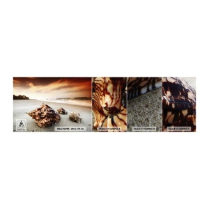 Fototapet Prøve Standard Eco - Bølgebevægelser - Landskab, Hav, Muslingeskal - 100x30 cm
