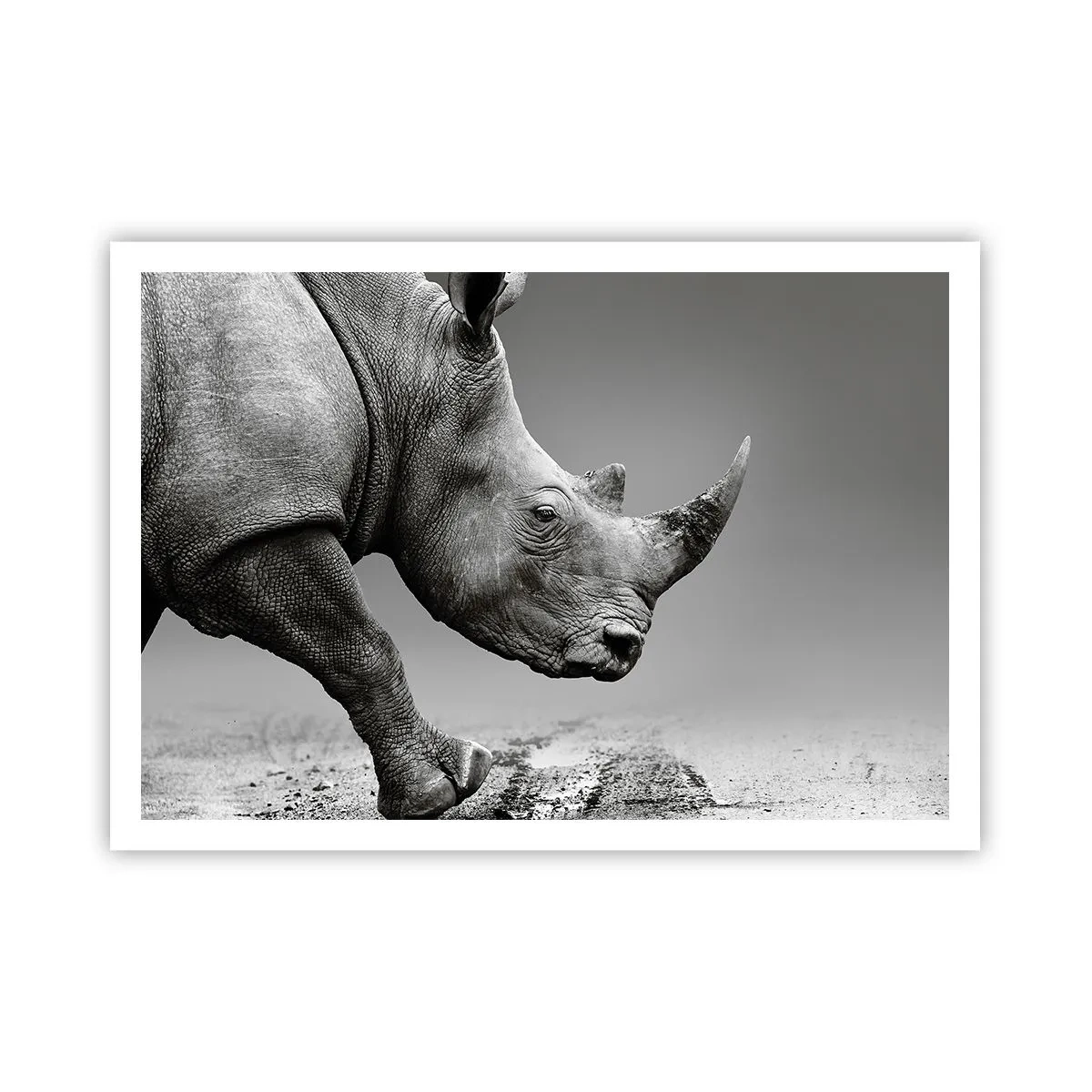 Plakat - En ustoppeli - 100x70 cm