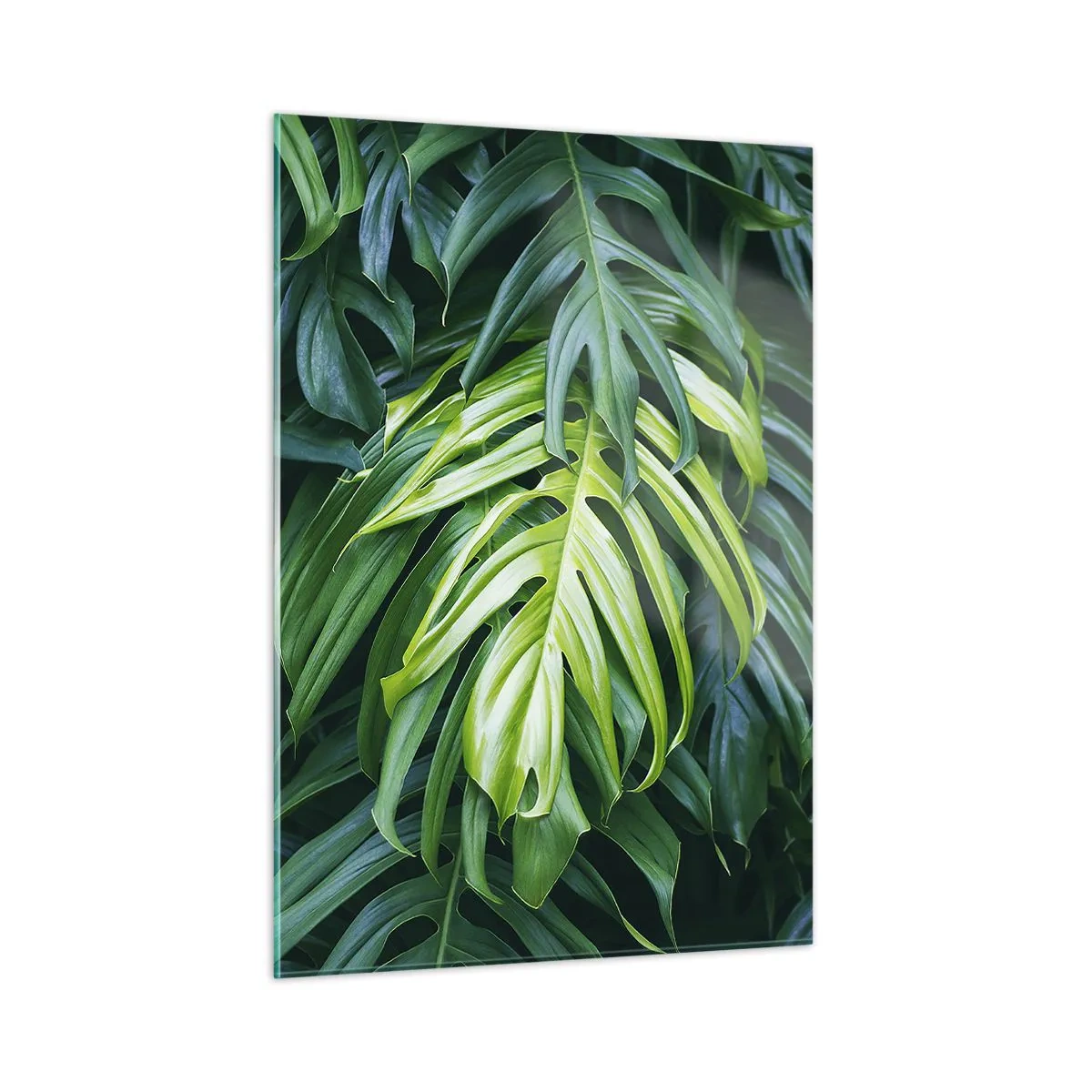 Billede på glas - Fordyb dig i friskhed - 50x70 cm