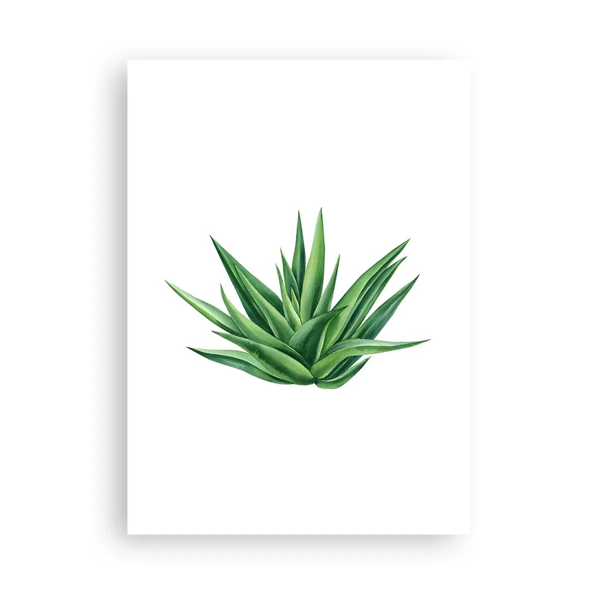 Plakat - Grøn - styrke - liv - 50x70 cm