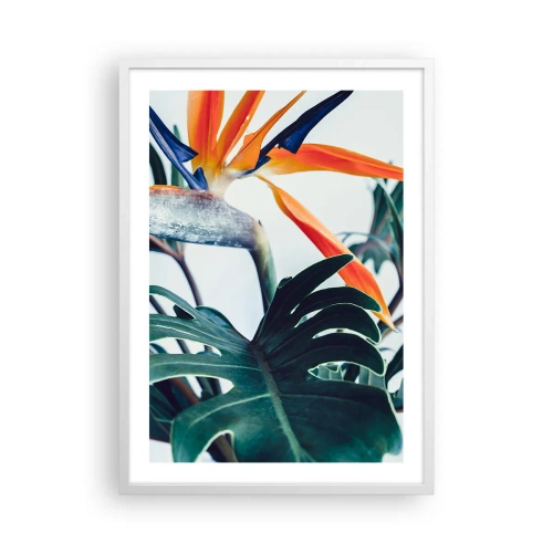 Plakat i hvid ramme - Fuglebur - 50x70 cm