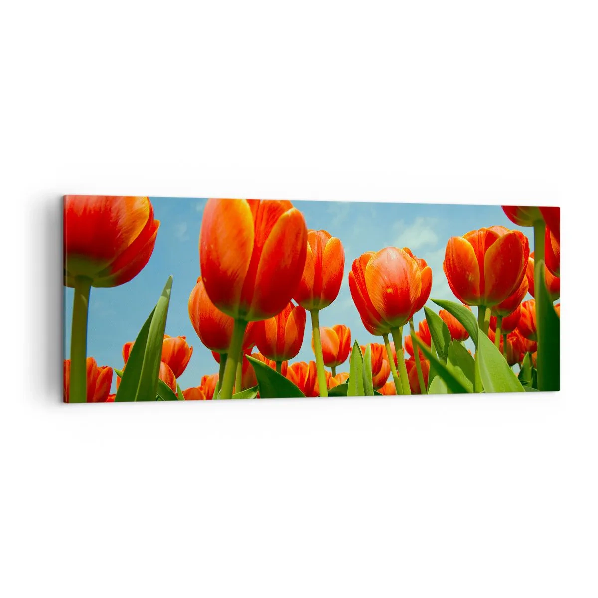 Lærredstryk - Billede på lærred - Bortset fra den blå himmel behøver de intet i livet - 140x50 cm