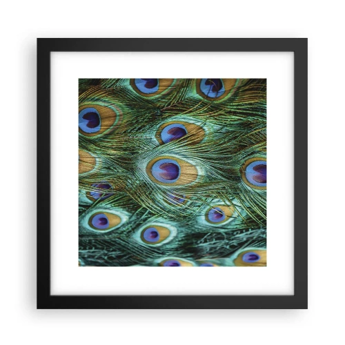 Plakat i sort ramme - En påfugls blik - 30x30 cm