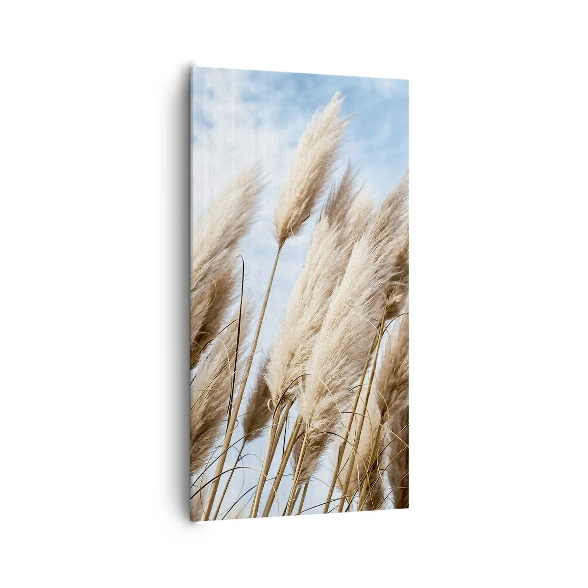 Lærredstryk - Billede på lærred - Solrig og blæsende kærtegn - 65x120 cm