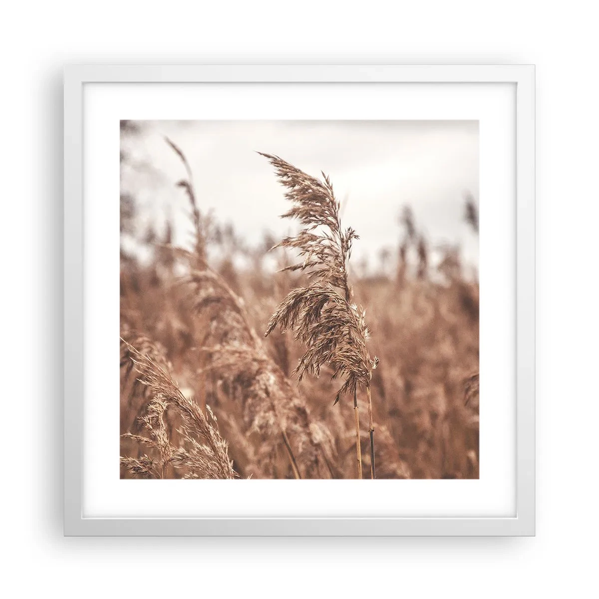 Plakat i hvid ramme - Efteråret er allerede på markerne - 40x40 cm