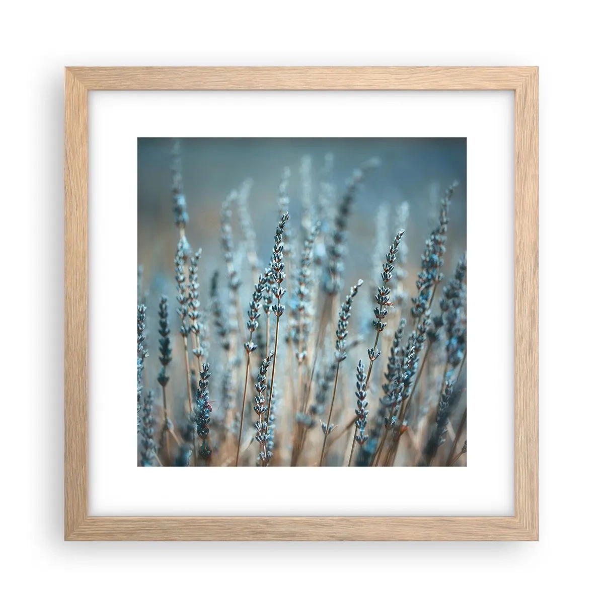 Plakat i ramme af lyst egetræ - Duftende plet - 30x30 cm