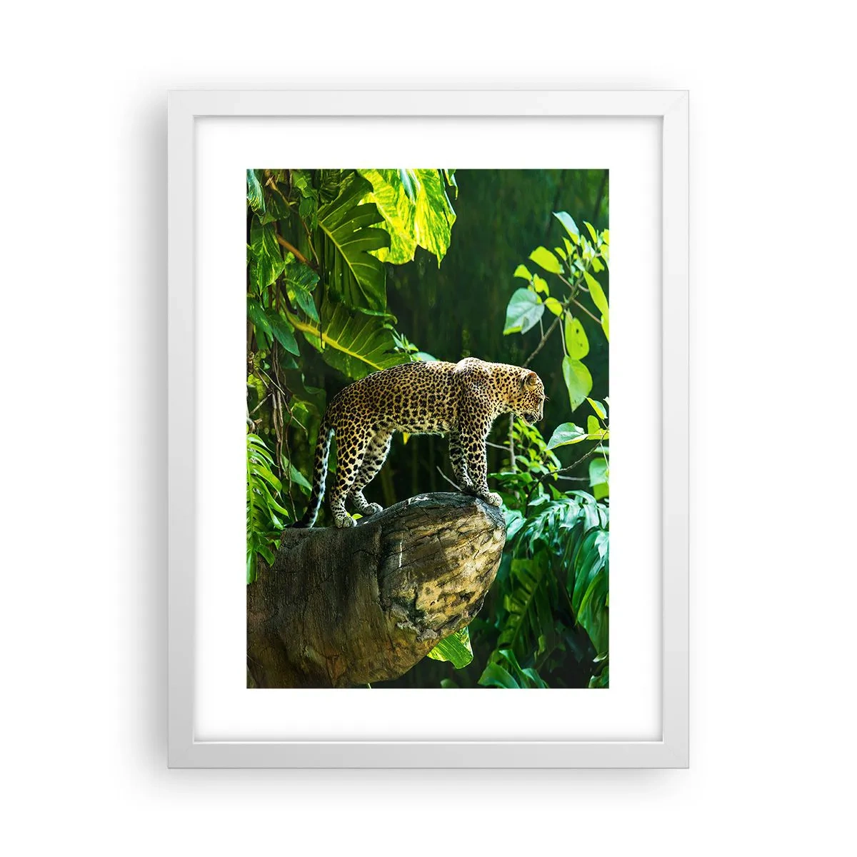 Plakat i hvid ramme - Til jagt? - 30x40 cm