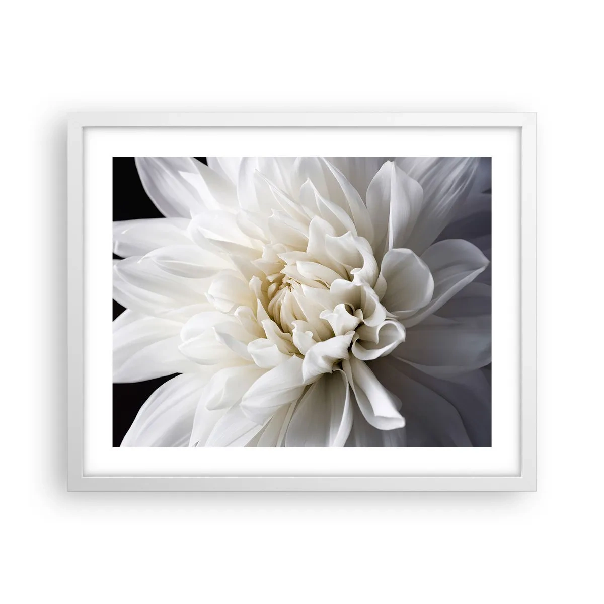Plakat i hvid ramme - Morgenbrud - 50x40 cm