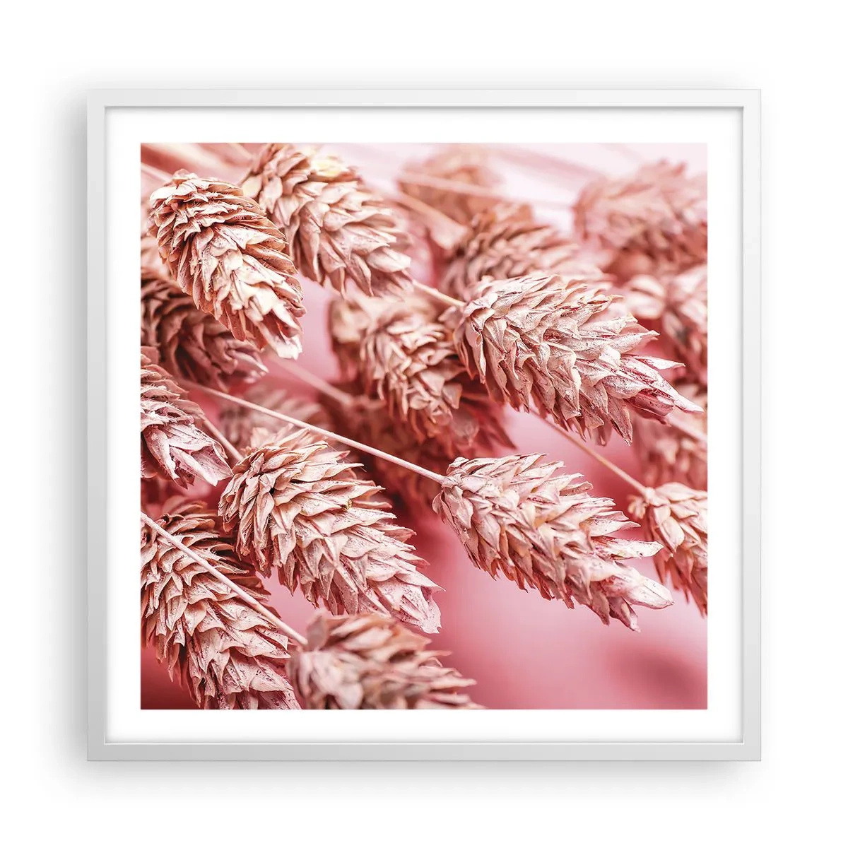 Plakat i hvid ramme - Blomsterkaskade i lyserødt - 60x60 cm