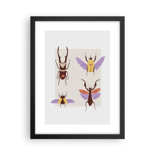 Plakat i sort ramme - Insekternes verden - 30x40 cm