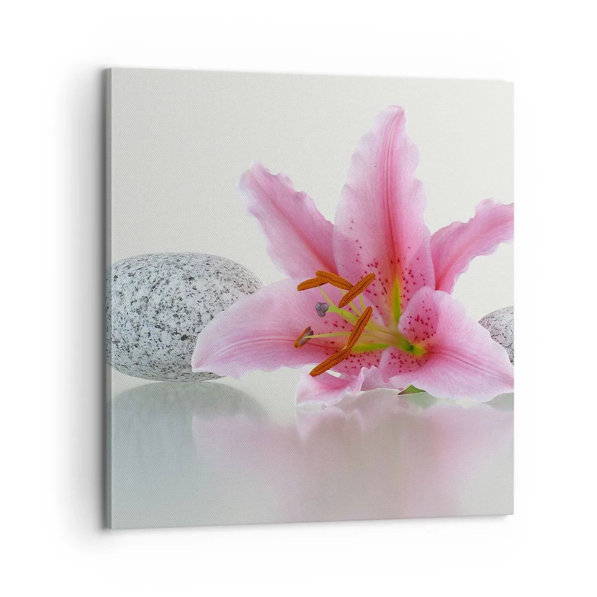 Lærredstryk - Billede på lærred - Et studie i rosa, grå og hvid - 60x60 cm