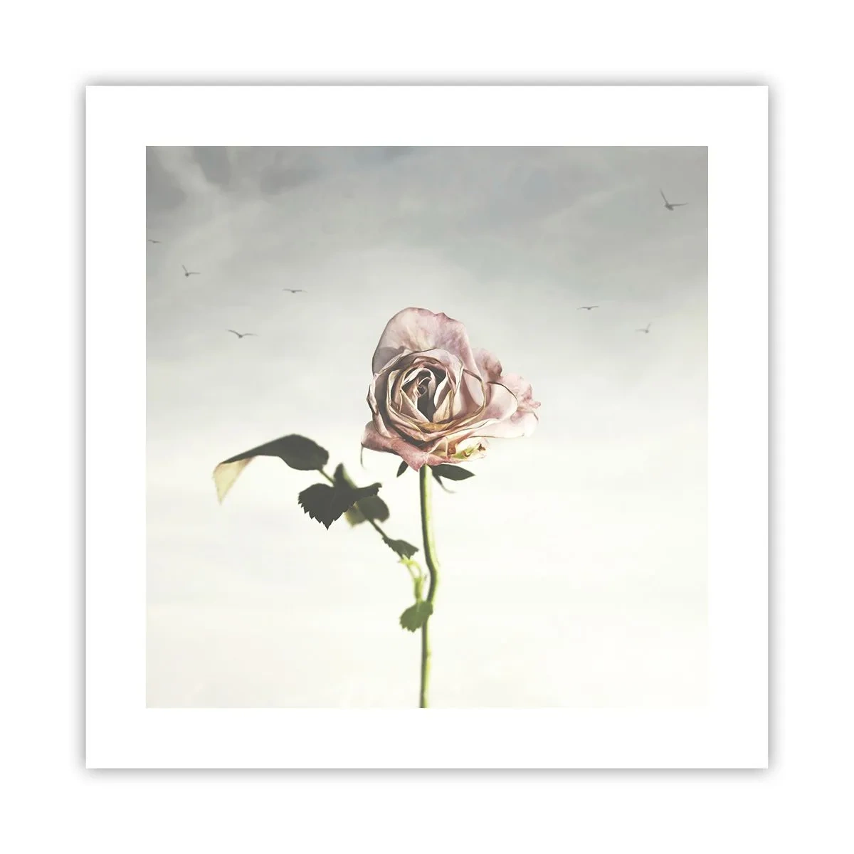 Plakat - Velkomst til foråret - 40x40 cm