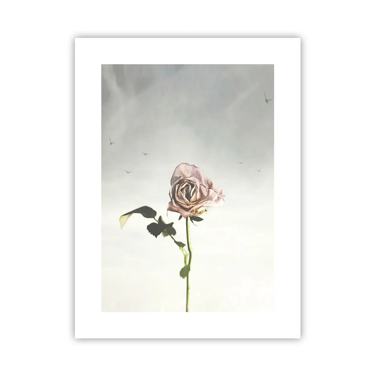 Plakat - Velkomst til foråret - 30x40 cm