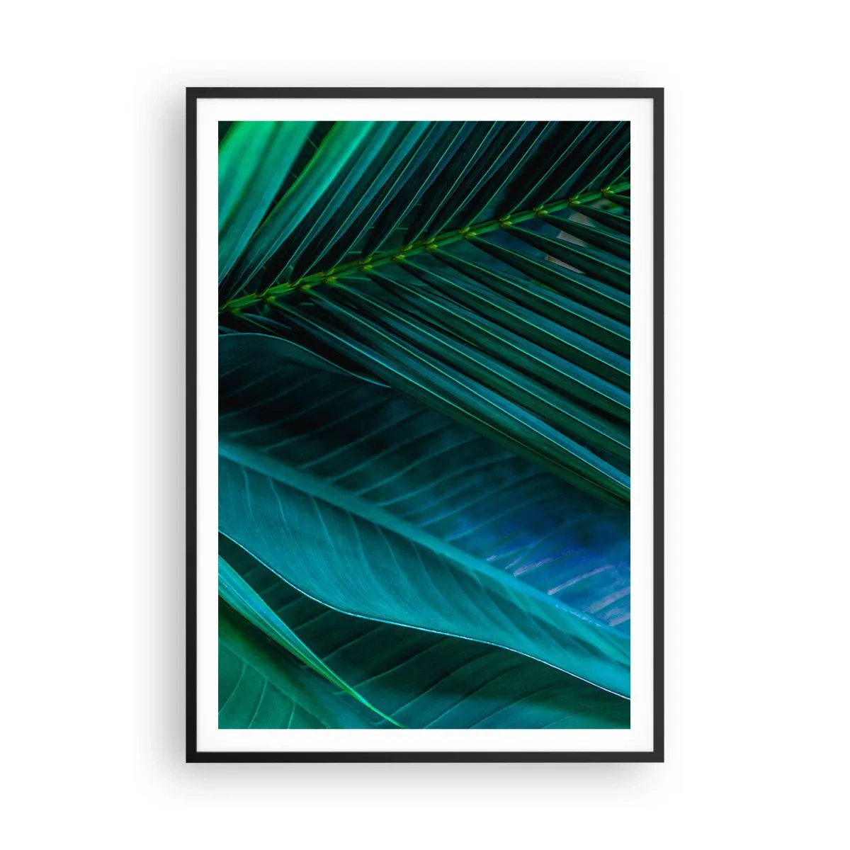 Plakat i sort ramme - Anatomi af en grøn - 70x100 cm