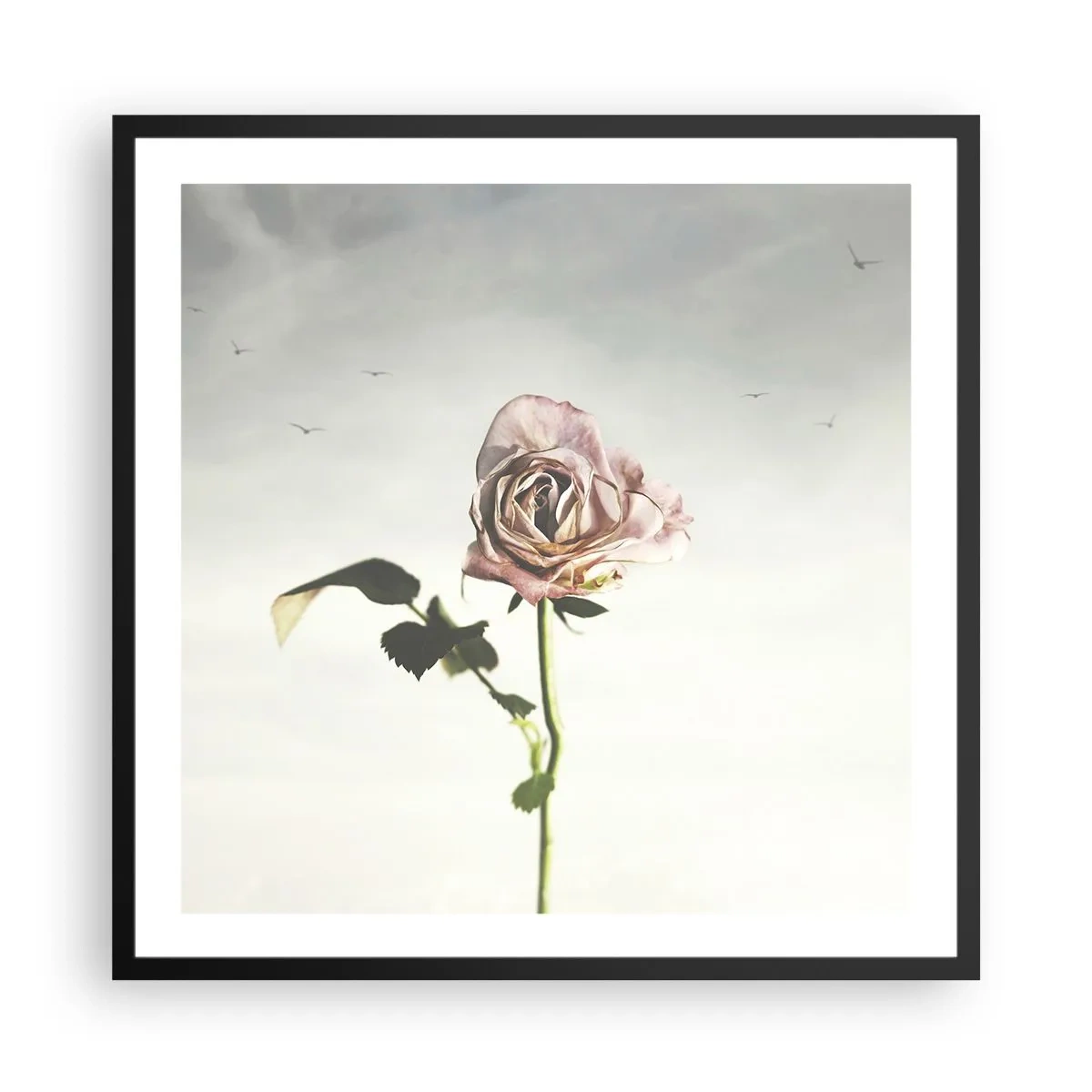 Plakat i sort ramme - Velkomst til foråret - 60x60 cm