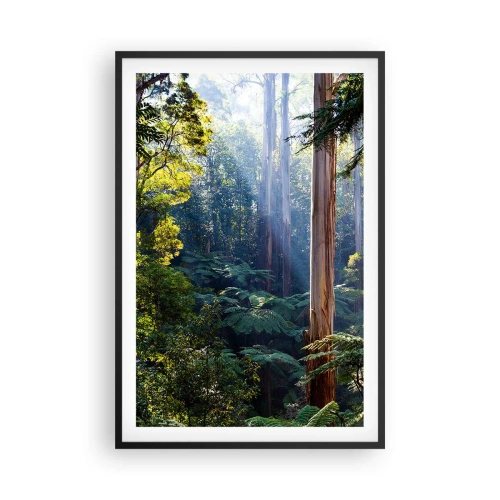 Plakat i sort ramme - En fortælling om skoven - 61x91 cm