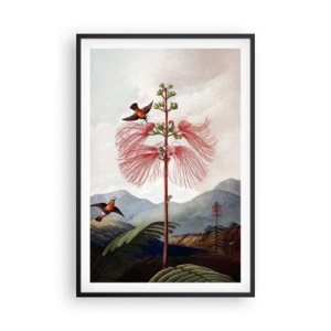 Plakat i sort ramme - I et tropisk paradis - 61x91 cm