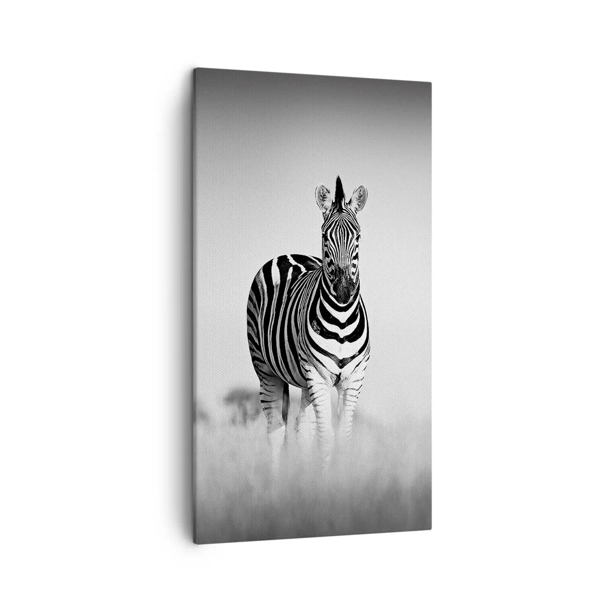 Lærredstryk - Billede på lærred - Og alligevel er verden sort og hvid - 45x80 cm